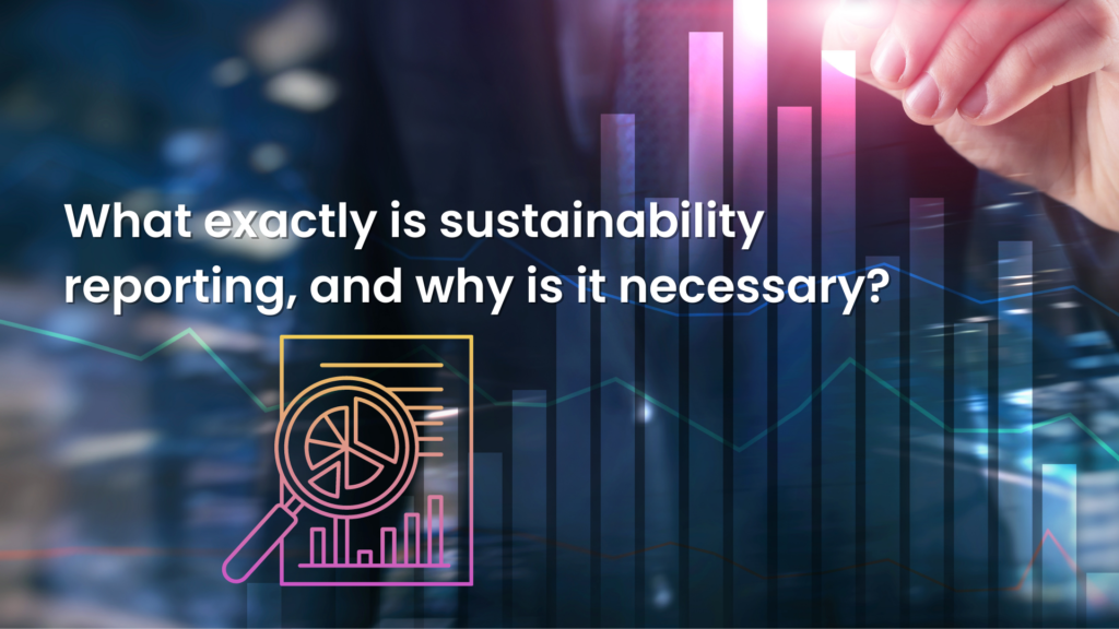 What Exactly Is Sustainability Reporting, And Why Is It Necessary?​